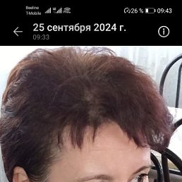 , 46, 