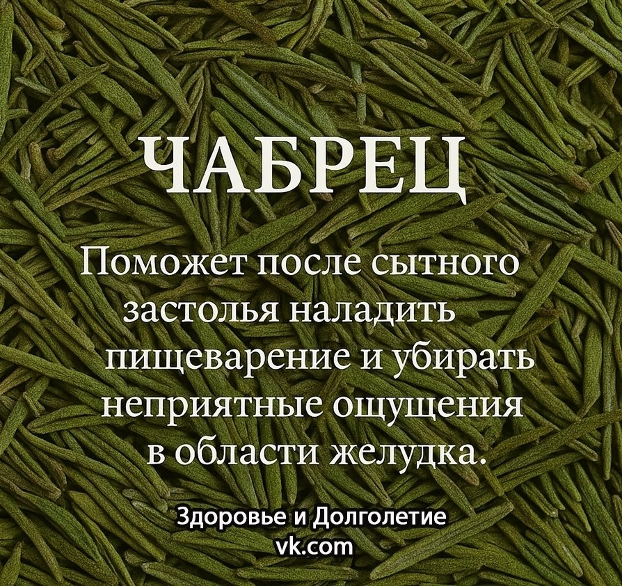 ��� ������ �������� � ���, ����� �������� �������� ������ ... - 3