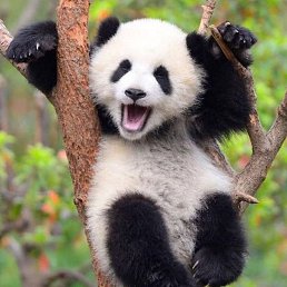 ���� ����, ������, 25 ��� - ��������� 13 ����� 2026