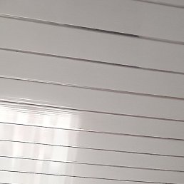 ������, ������, 49 ���