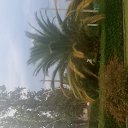 ���� Natali, ���������� - ��������� 16 ������ 2025 � ������ ������ ��������