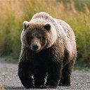 ���� �������, �������, 50 ��� - ��������� 27 ������ 2023 � ������ ���� ����������