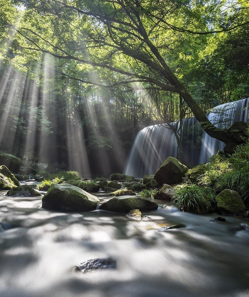 ��, ��� ������ ������� ���� ���������, �� ���� �� ��������� ����� ��������� ���. � ������� ����� - 2