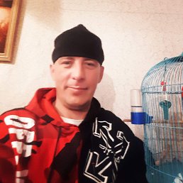 ������, 36 ���, �����������