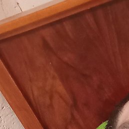 �����, �������, 36 ���