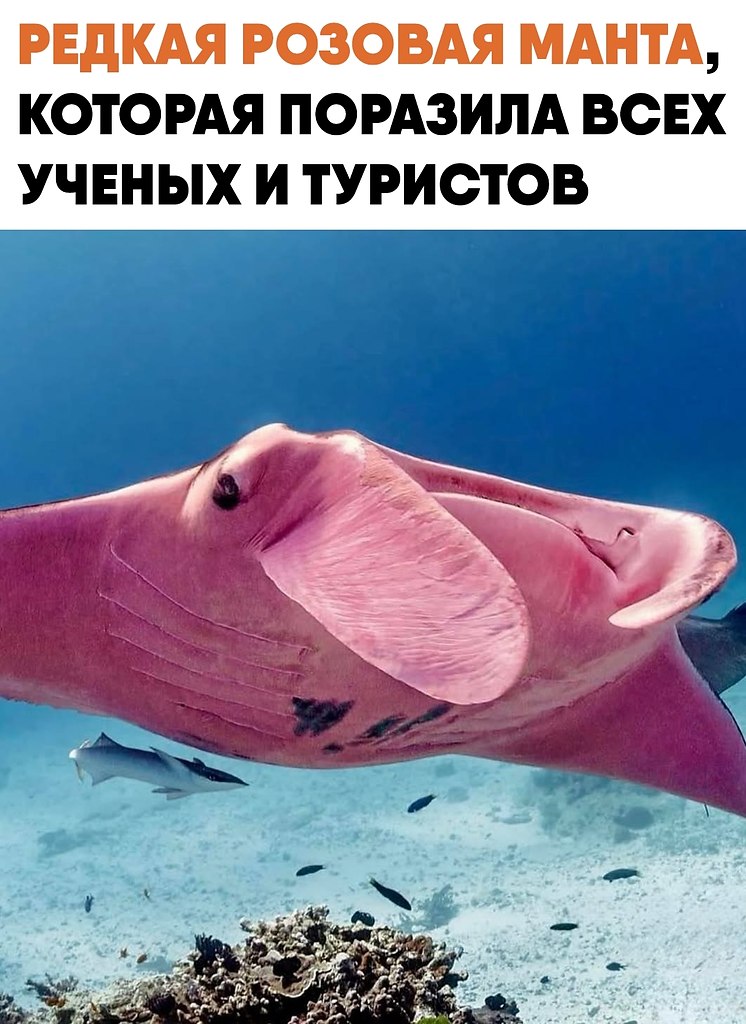 ���������� ������� �����, ������� ������� ������ � ��������. ������ ������� ���� ������ ������� ...