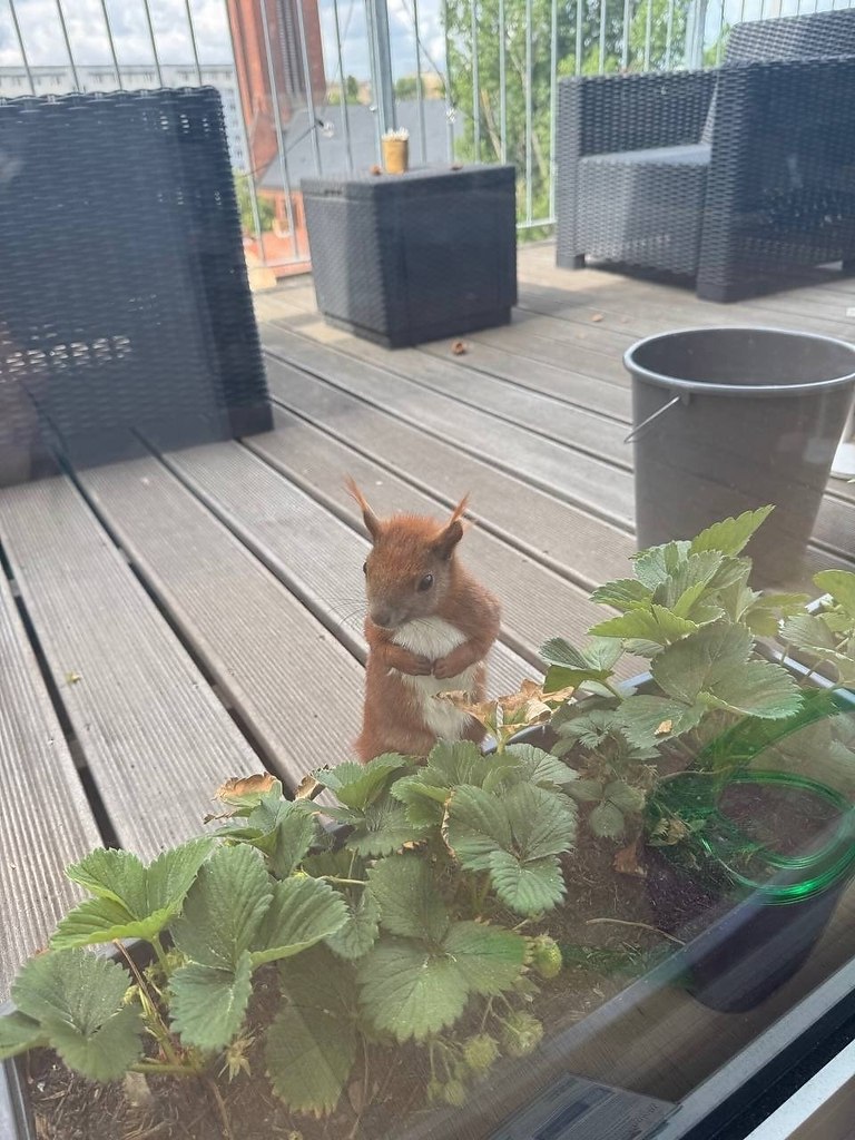 � � ��� ������� �� ��������?