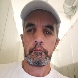 �����, ������, 46 ���