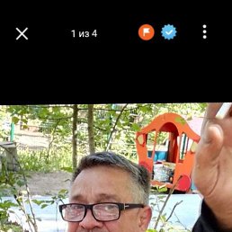 , 53 , 