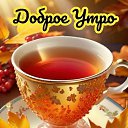 ���� ����� ��������, ��������, 51 ��� - ��������� 4 ������ 2025 � ������ ���� ����������