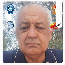 �����, ������, 67 ���