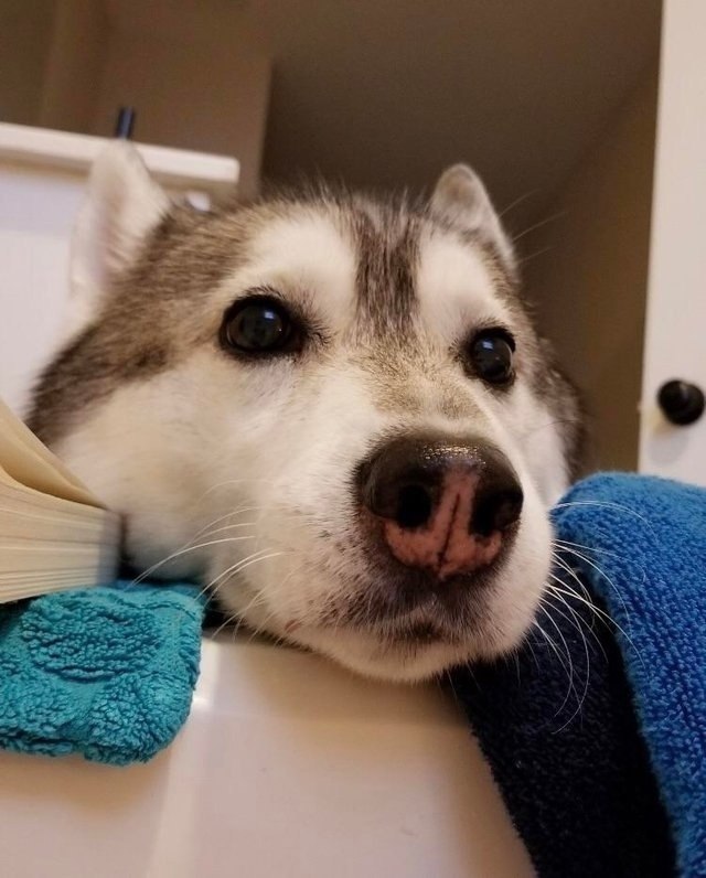 Смотрю фильм, закрываю ноутбук, а тут вот...