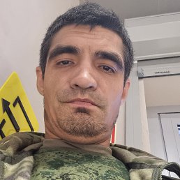 , 37, 