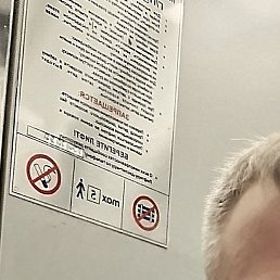 �����, �����-���������, 36 ���