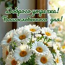 ���� �����, �����������, 52 ���� - ��������� 17 ��� 2025 � ������ ���� ����������
