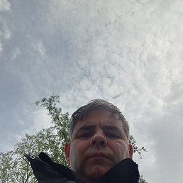 , 47,  
