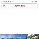 ���� ��������, ������, 41 ��� - ��������� 22 ������ 2025 � ������ ���� ����������