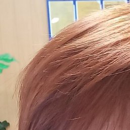 �����, ������, 56 ���