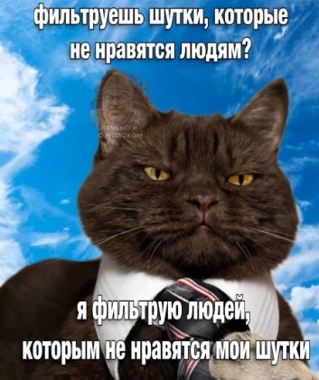 �������� - 14 ���� 2026 � 11:36 - 6