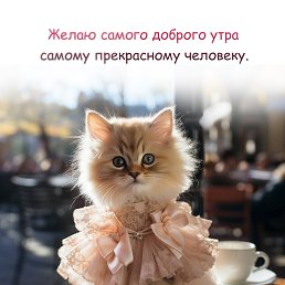 ���� �����, ������, 43 ���� - ��������� 30 �������� 2026