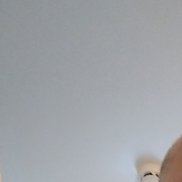 ������, 56 ���, ���������