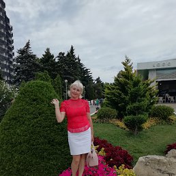 , 43 , 