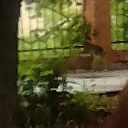 ������, ���������, 63 ����