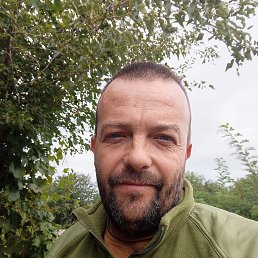 , 45, 