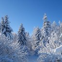 ���� )���������(, ��������� - ��������� 27 ������� 2024 � ������ ������ ��������