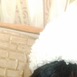 ����, ������������, 63 ����