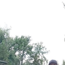 �����, ������, 37 ���