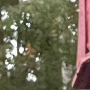 , 35 ,  