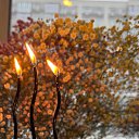 ���� �����, ������, 27 ��� - ��������� 30 ����� 2026