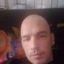 ���� ������, ���������, 41 ��� - ��������� 14 ������� 2026