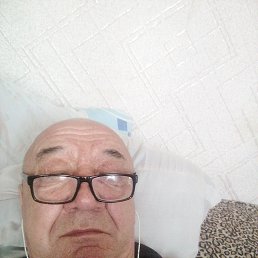 , 66, 