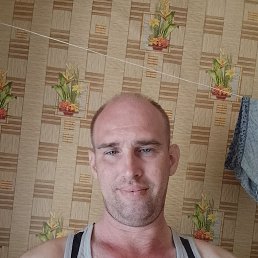 , 40, 