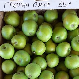 ���������, ���������, 43 ����