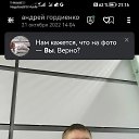  ,  -  15  2025    