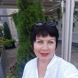 , 58, 