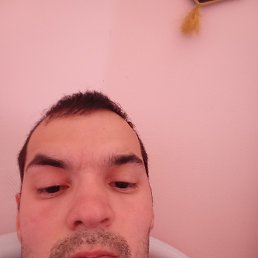 , 32, 