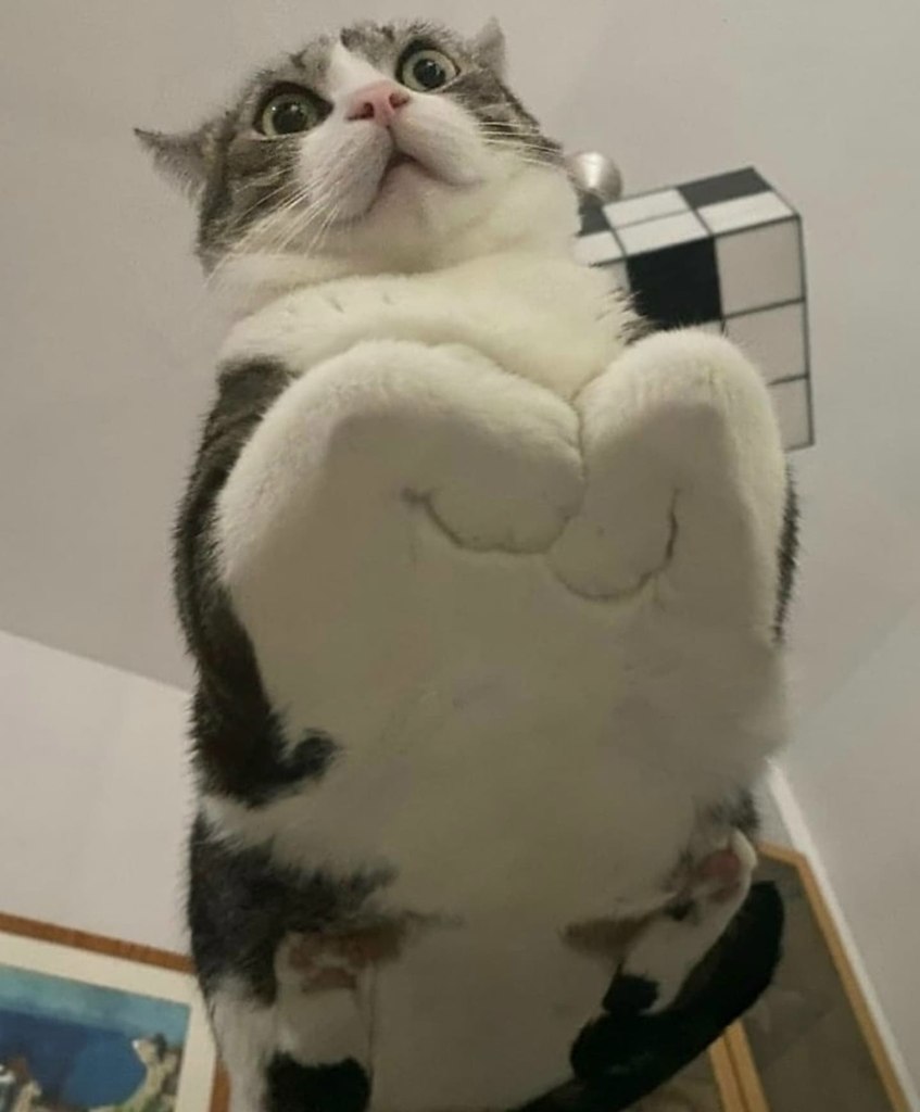            - 7
