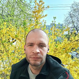 , 37 , 
