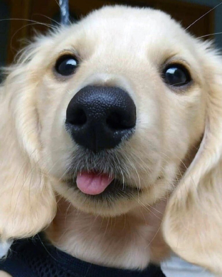 ������� ��� ����, ����� � ������� ��� ����������������