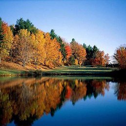 �����, ������ ��������, 54 ����