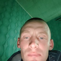 , 37, 
