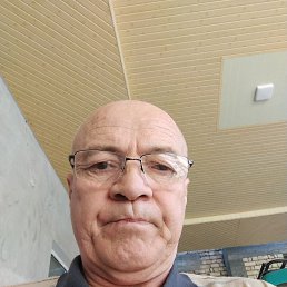 , 61, 