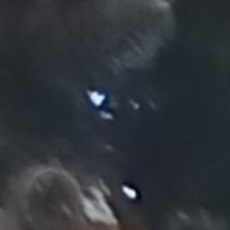 ��������, ��������, 57 ���