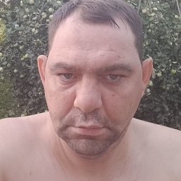 �������, ����, 39 ���