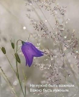 �������� ������ - 20 ��� 2026 � 08:30