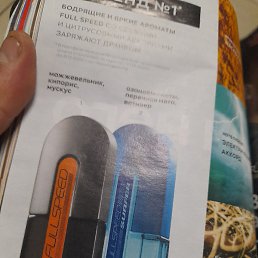 �����, �����-���������, 41 ���